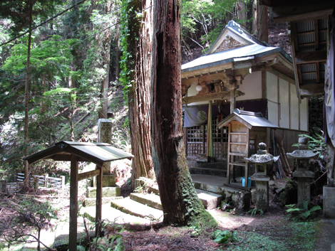 20140524hike (126)